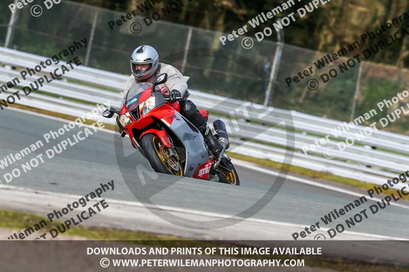 Oulton Park 21st March 2020;PJ Motorsport Photography 2020;anglesey;brands hatch;cadwell park;croft;donington park;enduro digital images;event digital images;eventdigitalimages;mallory;no limits;oulton park;peter wileman photography;racing digital images;silverstone;snetterton;trackday digital images;trackday photos;vmcc banbury run;welsh 2 day enduro